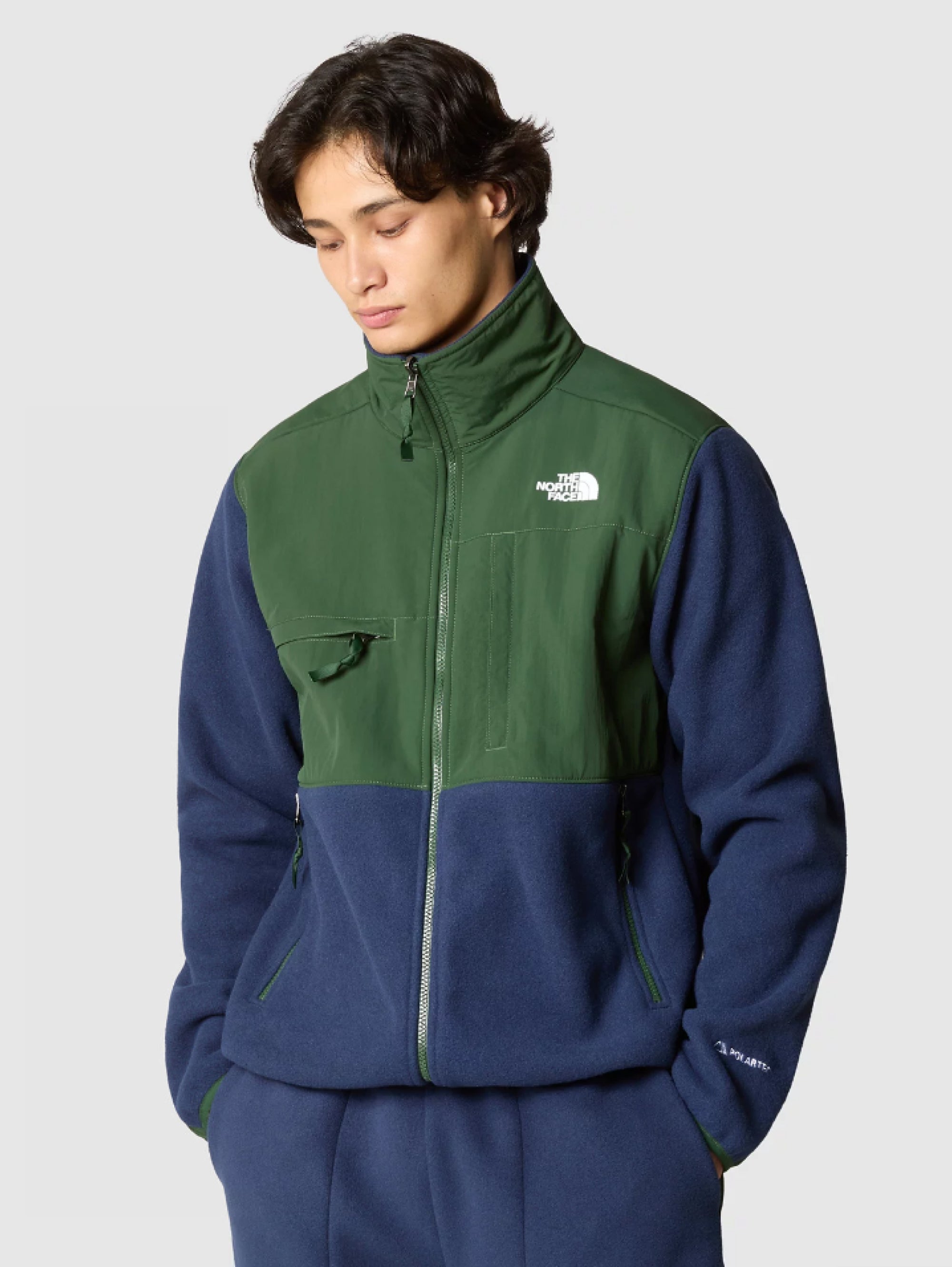 THE NORTH FACE - Green/Blue Recycled Polartec Fleece Denali Jacket – TRYME  Shop