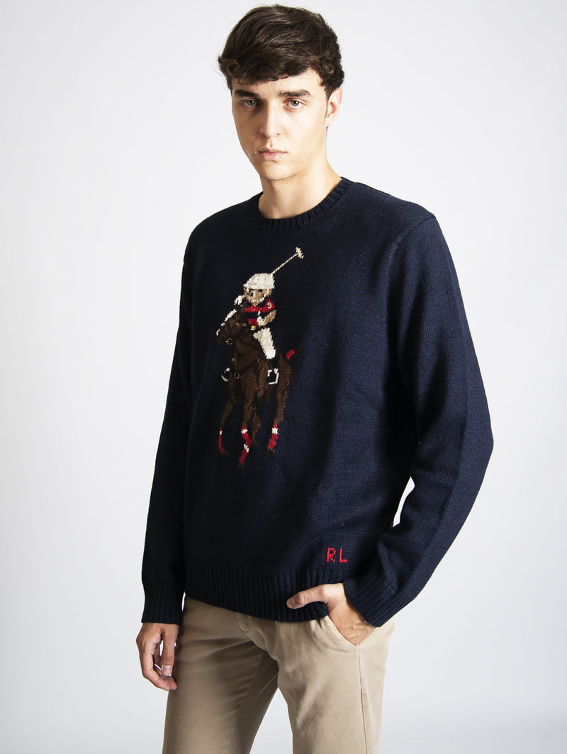 Grey polo bear sweater sales